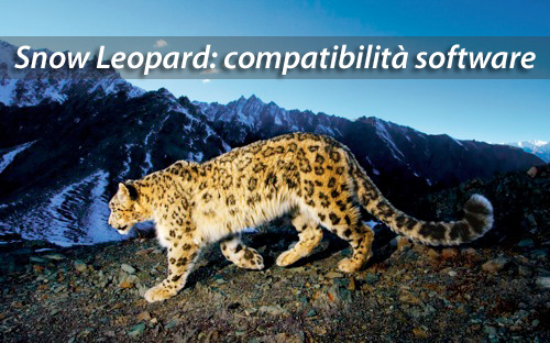 Snow-Leopard-Prowlsoftware