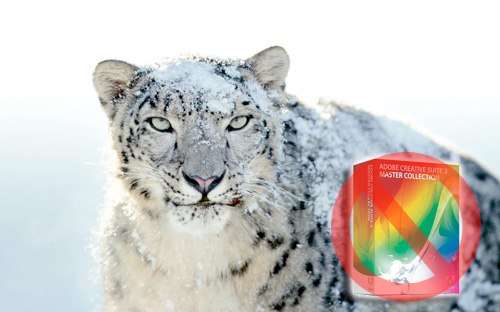 Snow-Leopard-no-cs3
