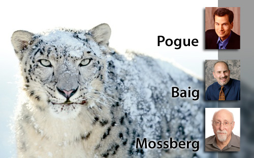 Snow-Leopard3
