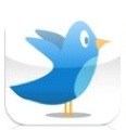 logo Twitter Pro