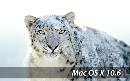 Snow-Leopard1061