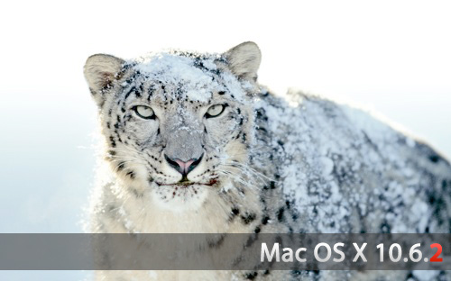 Snow-Leopard102