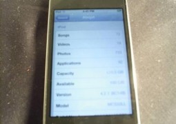Display iPod Touch 5G