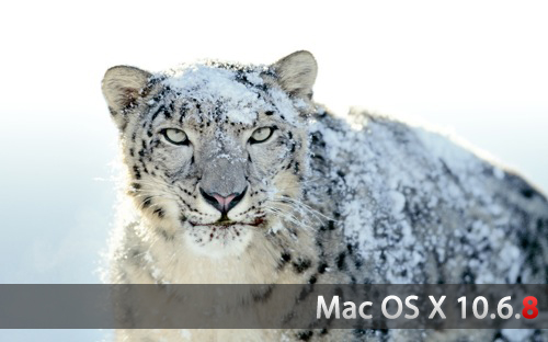 Snow Leopard10 6 8