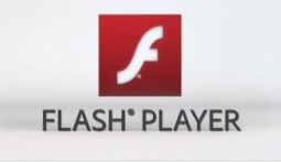 Flash Player mobile