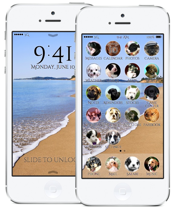 ios puppies