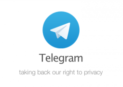 telegram alternativa whatsapp