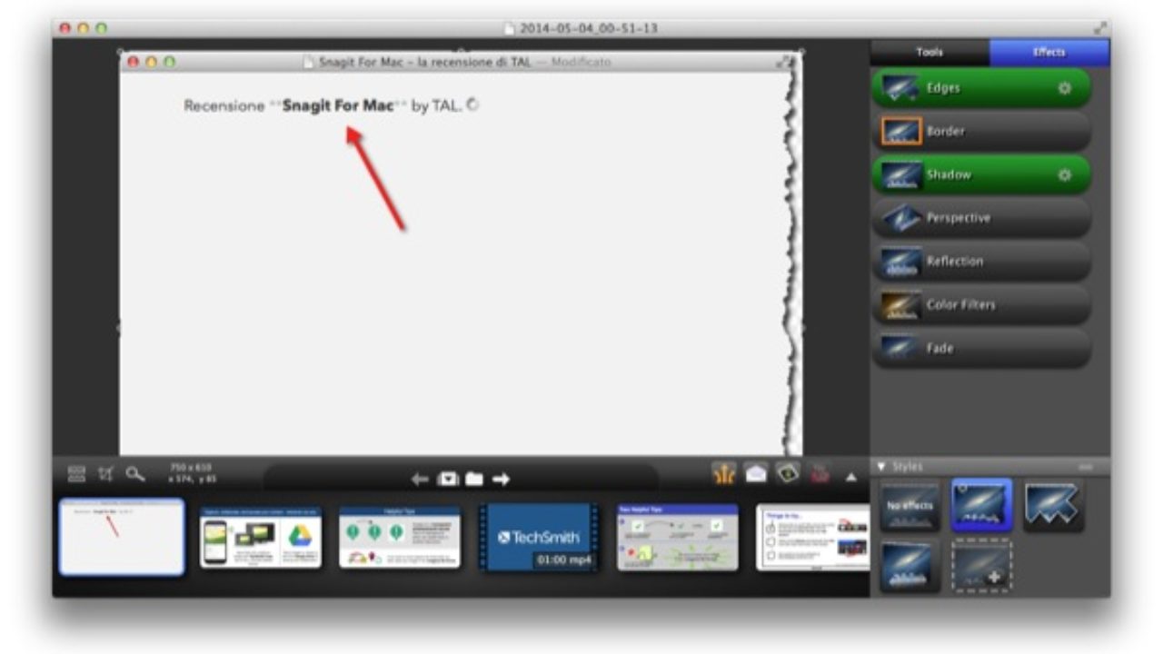 snagit 2019 logop