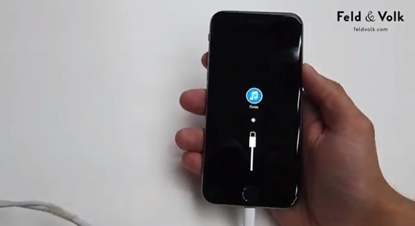 iPhone 6 video leaked Feld & Volks