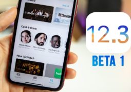 iOS 12.3 beta 1