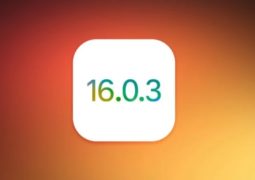 iOS 16.0.3