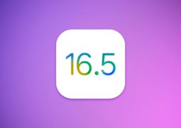 iOS 16.5