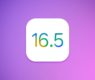 iOS 16.5